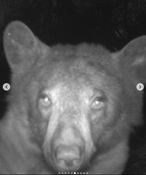 selfie beer kan copyright op foto ook niet claimen